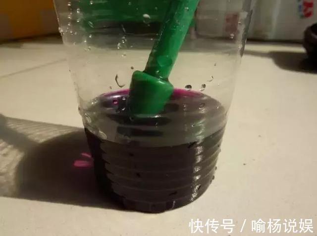 扦插加个小药片，成活率翻番，新手也能做得好！