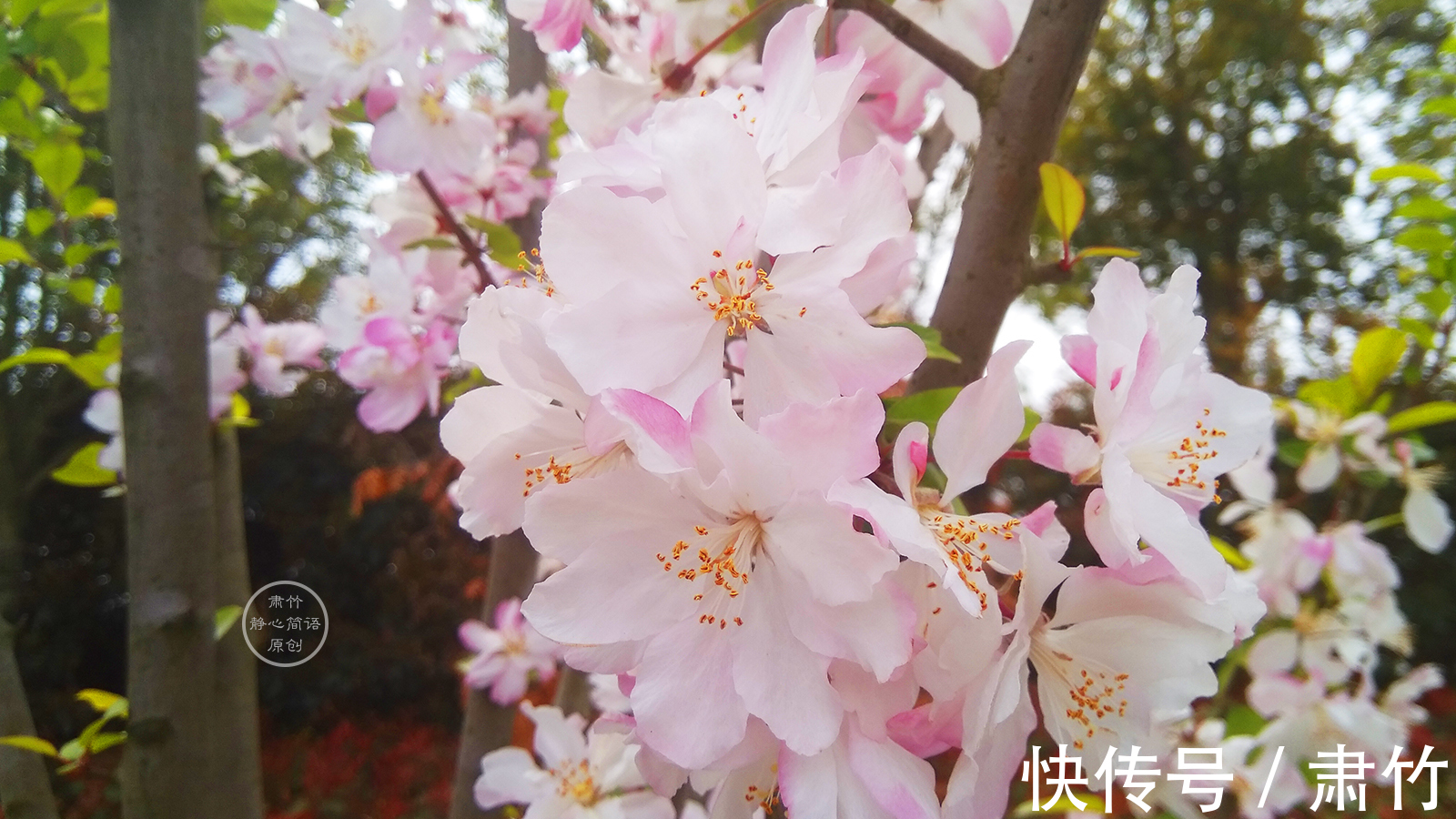 长度|生命长度有限，别在无聊中荒废