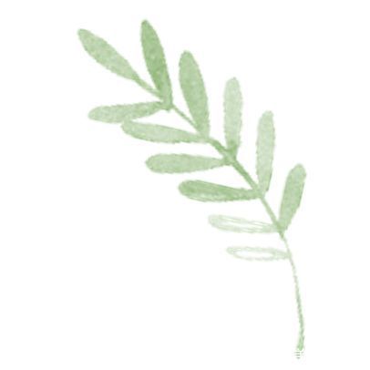 毛豆|会动还要会吃,运动后怎么吃才能更健康