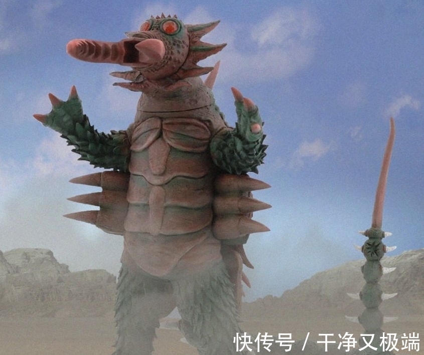中华鲎|艾斯奥特曼中克拉勃王原型,拯救了数千万人性命,现已濒临灭绝