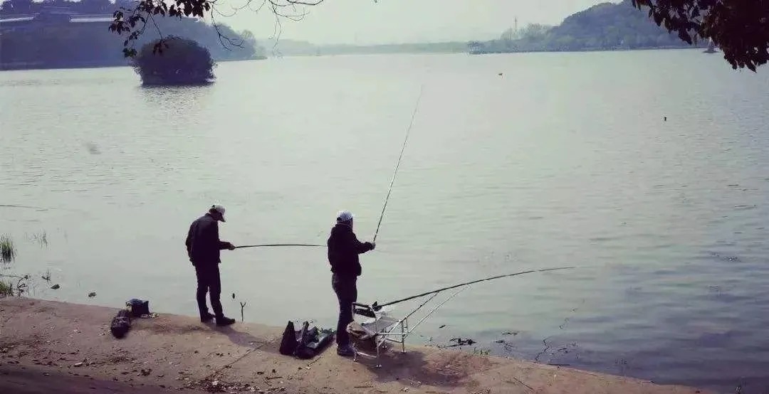 冬季野钓,不是哪里都有鱼,避开四个“空军位”,鲫鱼排队咬钩