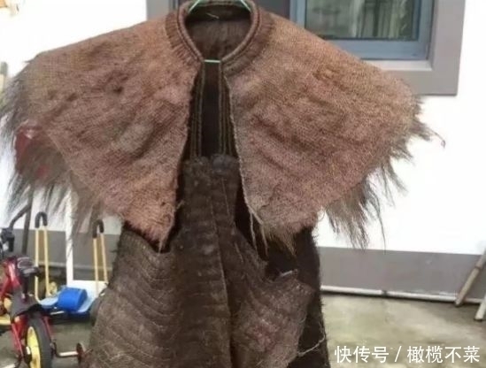 30年前农村很多,小孩常摘来玩,如今是一道美味,但知道的人不多