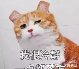 中国|中国历史上第一位女外交官,竟然是位公主?