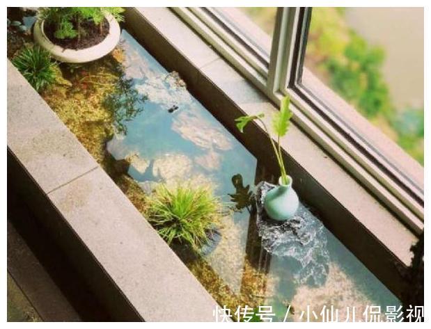 阳台|阳台进行一个小改动，秒变“休闲小花园”，有鱼有花，好看极了