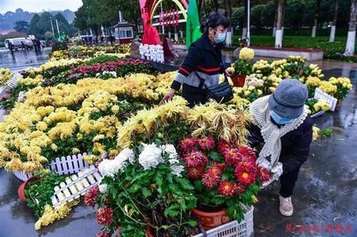  菊展|菊展闭展，爱花市民到现场淘宝：选花、收花土、取花盆