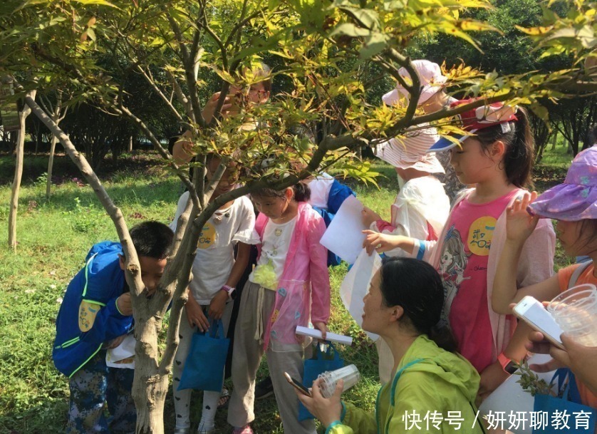 爸爸的脚臭|学生作文《爸爸的脚臭》,味道从文字里流露出来,网友说不招蚊子