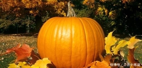 家中|胃病反反复复? 家中常备3物, 轻松修复胃损伤, 还你健康好胃!