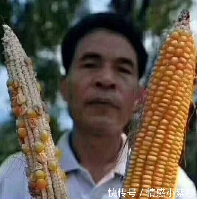 家庭成员|为什么富不过三代?穷却能穷一辈子?这2个原因直戳痛点,太真实