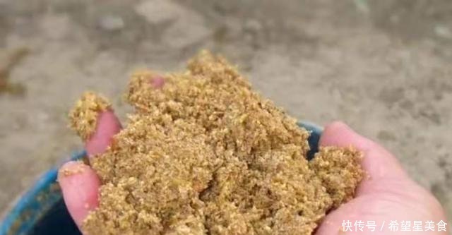 这3招果然够狠!杂鱼不闹中鱼率高,用过的人绝非泛泛之辈!