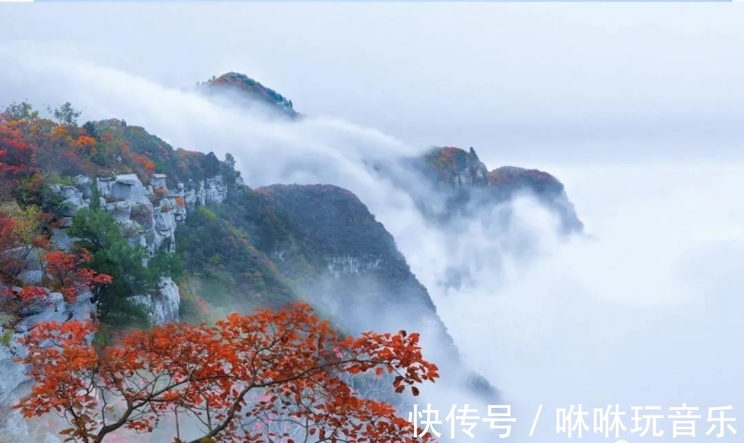 青天河景区|青天河｜金秋时节，来这座“红叶王国”感受那“枫”情万种的美！