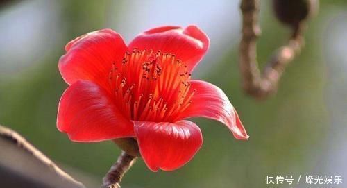 人們常說:“濕氣不除,百病叢生”,如何祛濕更好?