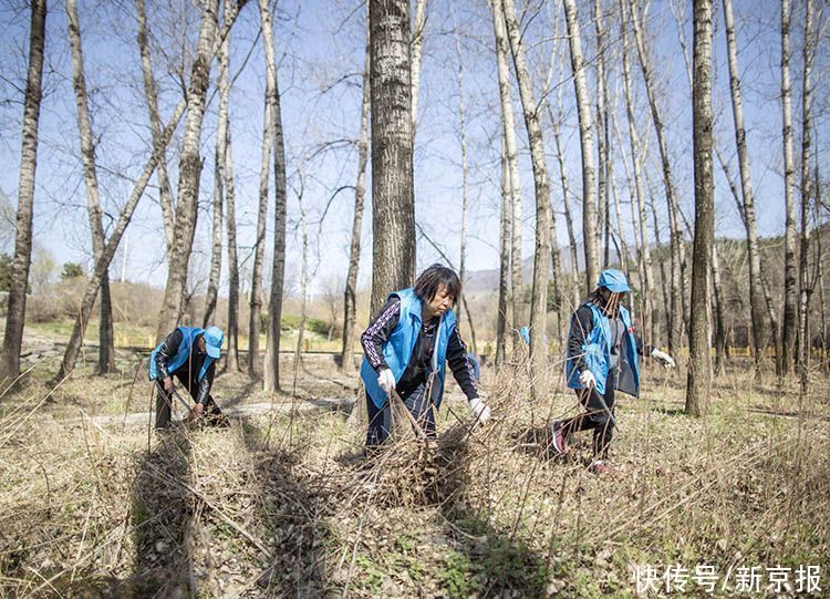 珍珠泉村的铁娘子|我是村支书 | 书记