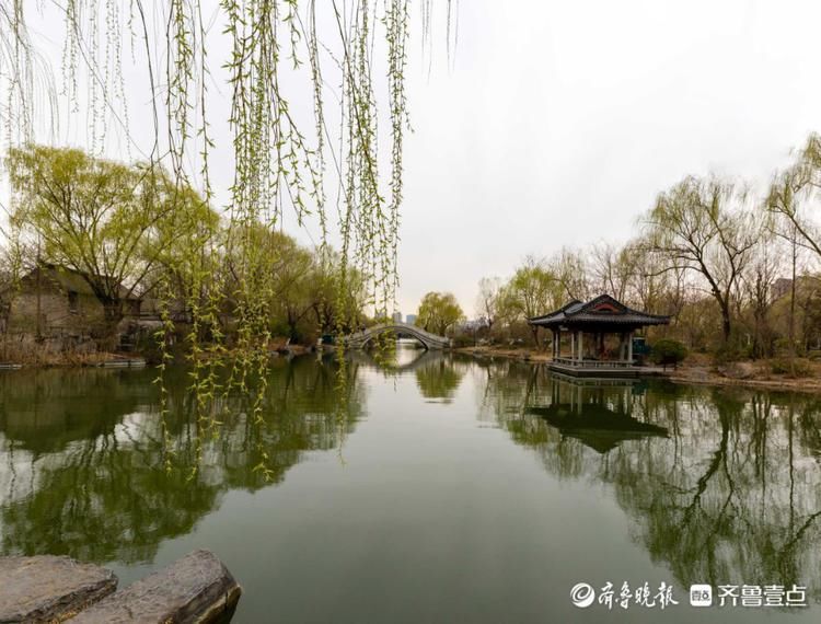 老年|春水初生！济南大明湖倒映着明媚的春天