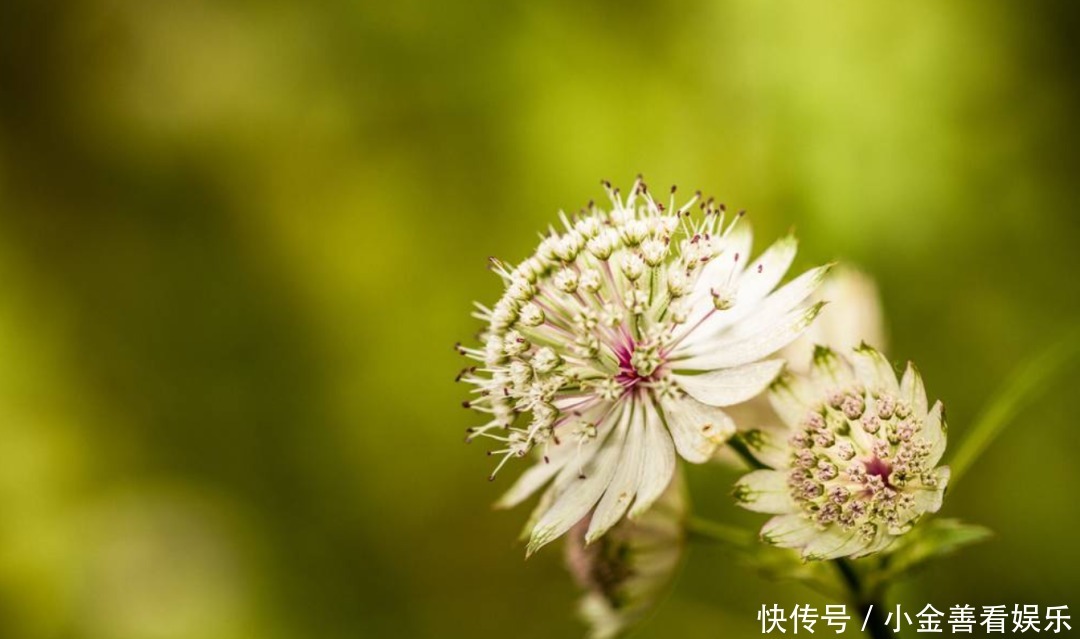  【诗词鉴赏】阳春三月，春日方好，不如在诗词里一起拥抱春天！