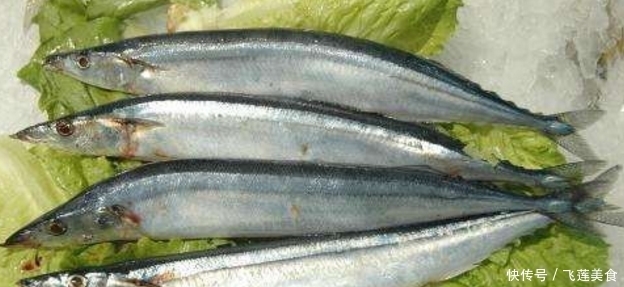 好吃|中国最好吃的四种鱼,全听过就很了不起了,吃过一种就是壕