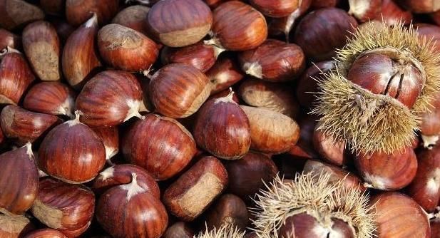 身体不适|专家提醒:几种坚果多吃无用,或许还会适得其反,别忽视了!