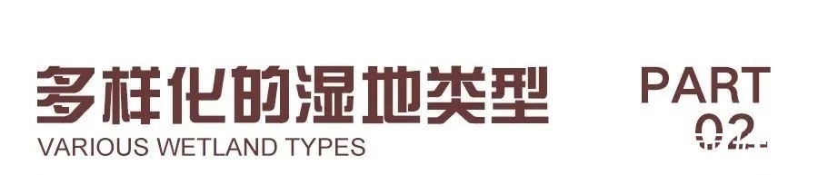 环境科学#好书·推荐 | 上海有哪些湿地?快跟着绘本涨知识