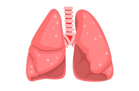  肺不好，手上会出现3种异常，若没有，说明肺部还算健康