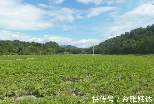 使用权|非农户口也能继承土地?一类人可继承土地,一类人土地将收回!