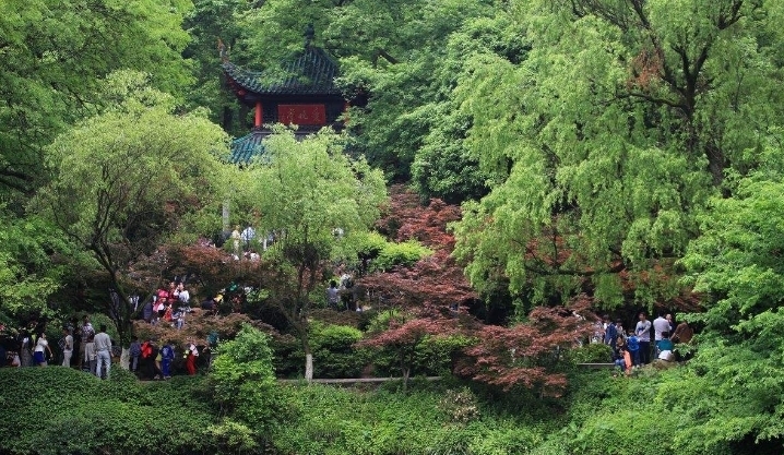 我国这5A景区，每年吸引上千万游客还亏损，仍免门票，就在湖南