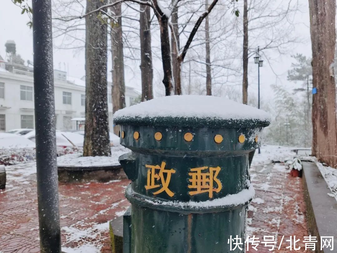 云海|太美了！台州最新雪景！括苍山跌至-10℃，再现云海奇观