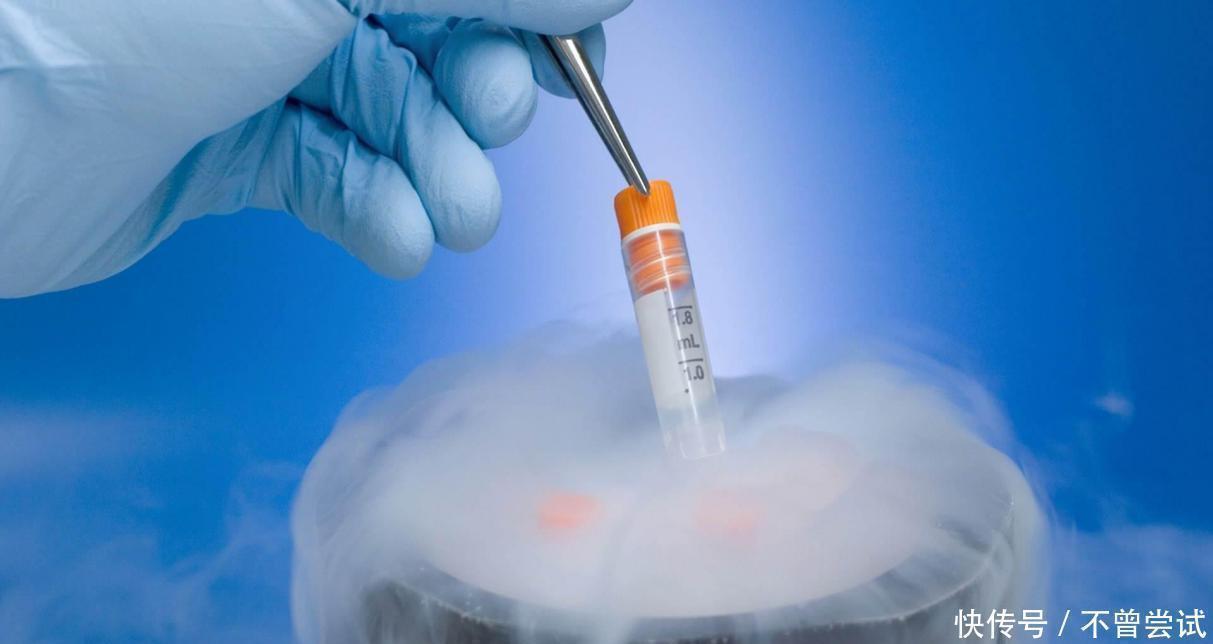 医院|试管和普通婴儿有差距吗是智力还是寿命,听听专家怎么说