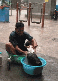 |搞笑GIF:你永远都猜不到 睡着后损友会对你做什么