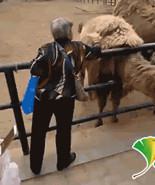 |搞笑GIF:大哥你这样真的好吗,考虑过妹子的感受吗