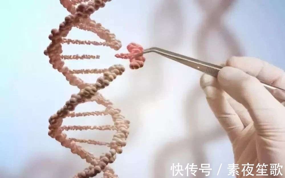 智商会|高智商能遗传吗?你的智商来自于父母的哪一方?