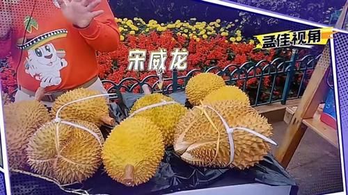 小哥们|小哥队全员伪装，这次大哥队还能认出他们吗？