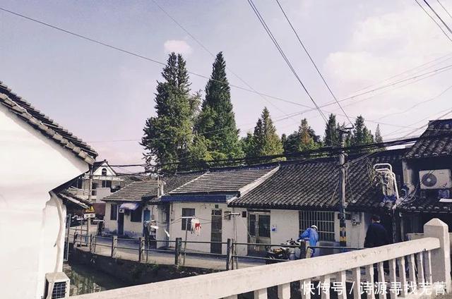 快没了|根本停不下来!金山这个有着百年历史的季节限定美食,再不吃就快没了……