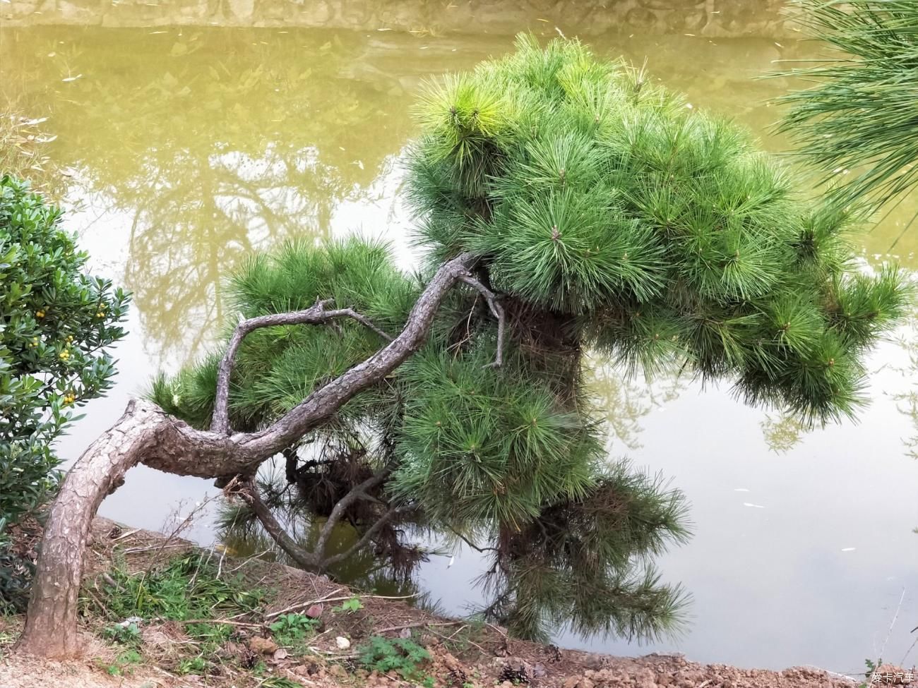 中薪|春节老家自驾圆觉禅寺