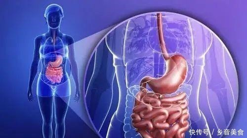 枸杞山药粥|补脾最厉害的食物！全面启动脾胃功能，增强免疫力，孕妇也可以吃！