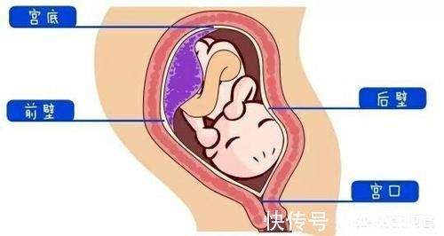 怀孕胎儿位置在前壁后壁有什么不同吗?