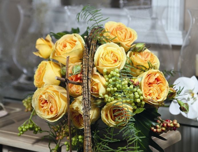 喜欢玫瑰,不如养盆“精品”烛光,开花似美人起舞,比“菊花”美