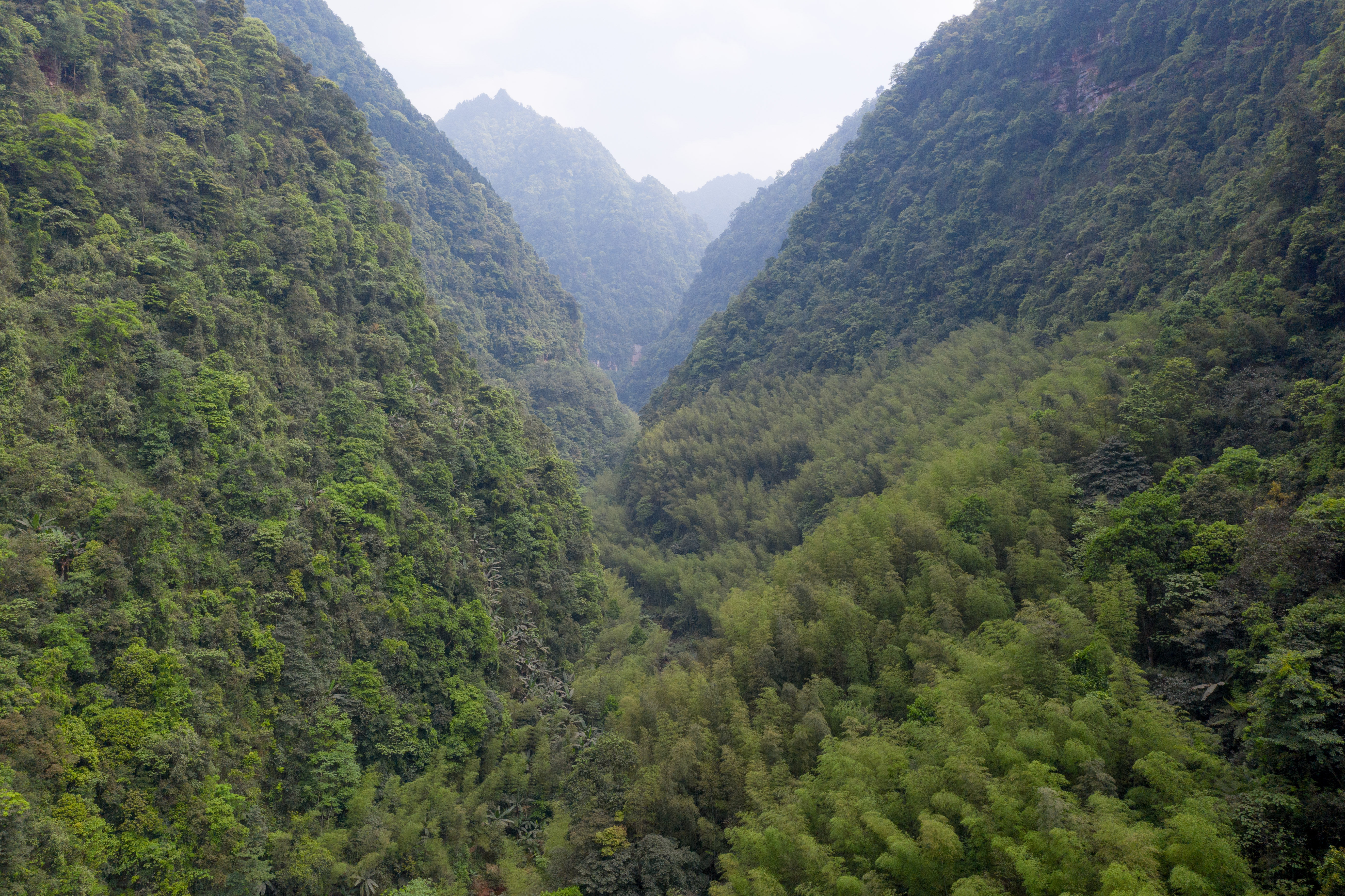 贵州北部之旅，近看三省奇迹