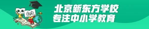 21泰晤士世界大学影响力排名重磅发布，中国大陆这所高校表现惊人