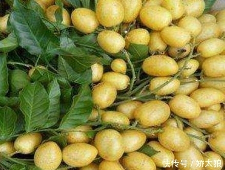 止咳王被发现了,常吃此果,让你摆脱咳嗽烦恼