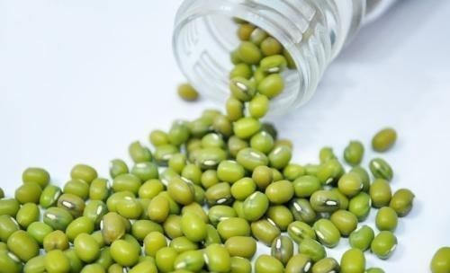 绿豆|天天吃绿豆,没想到半个月后身体有很大的改变