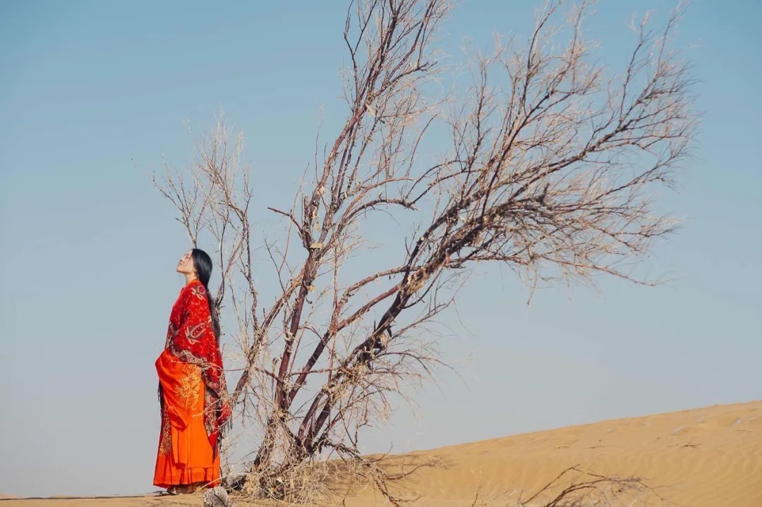 工程队#人生有五度,度人也度己