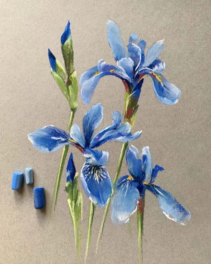 花瓣#太疯狂了!原来用粉笔画画,也可以这么美,简单几招教你,美到邻居羡慕嫉妒