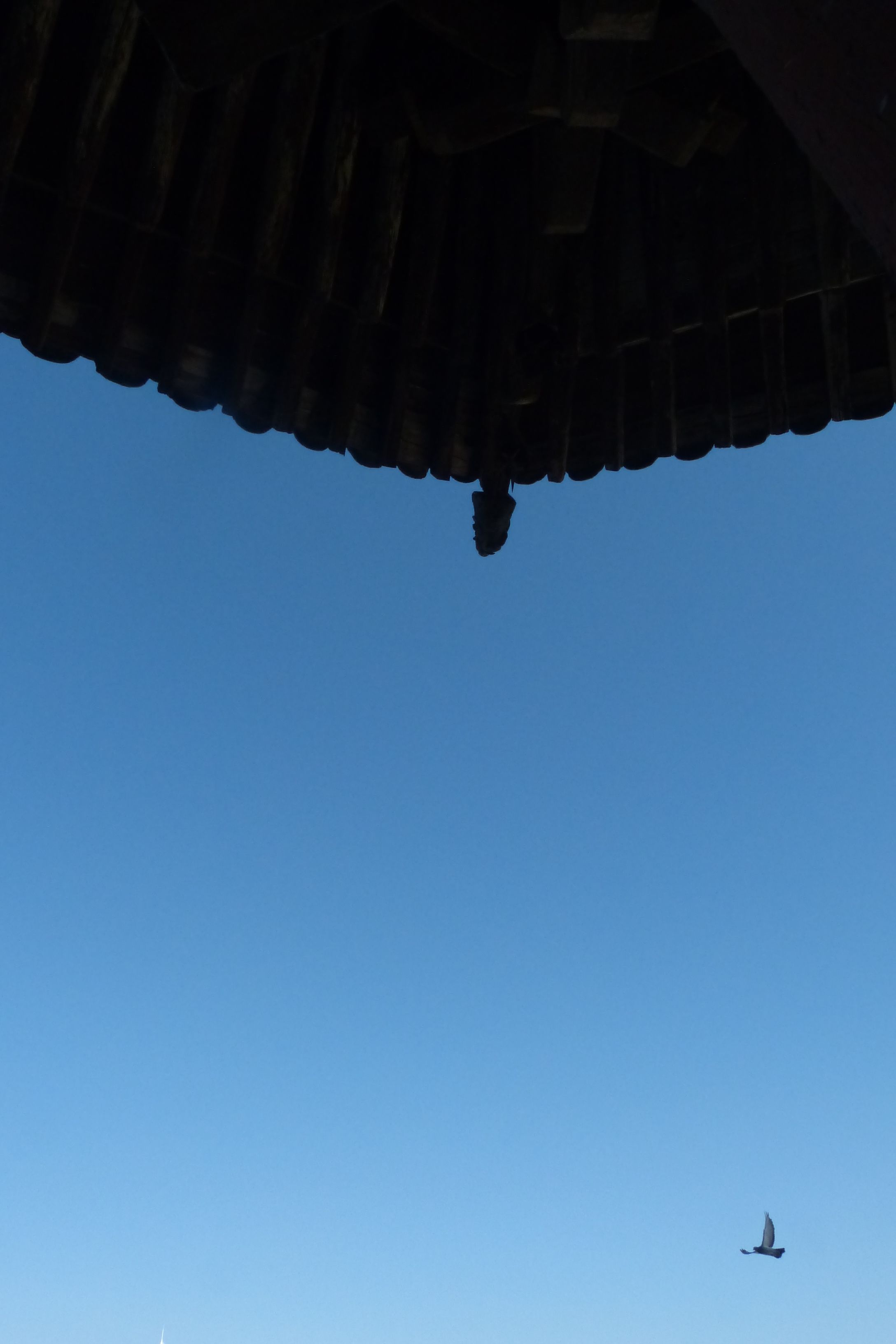 寻霞客之踪迹，赏魏晋之遗风