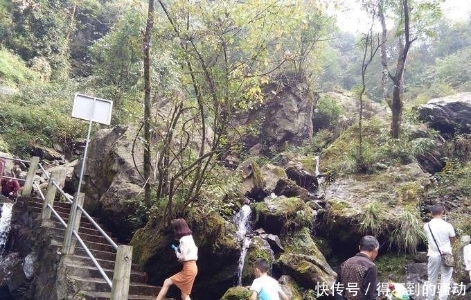 避暑|中国最美峡谷风景区-卧龙谷 最高的避暑休闲、清心养身的天然胜地