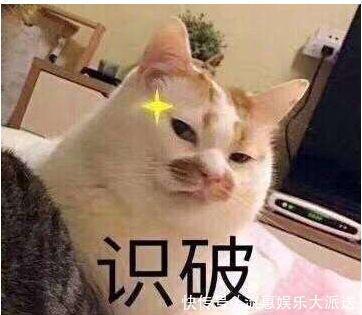 精油|头发容易又油又塌洗完头后3个习惯,头发第二天也蓬松