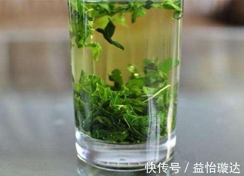 血脂异常|高血压、高血脂、高血糖最怕6种叶子茶,用它泡水喝,身体更健康