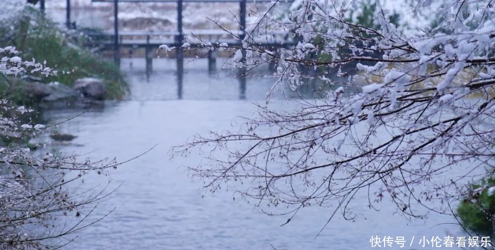 美成|一下雪，杭州就美成了临安