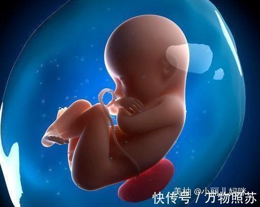 妈妈|怀孕后，若孕妈妈有3个“特殊”表现，说明孩子是个“聪明娃”