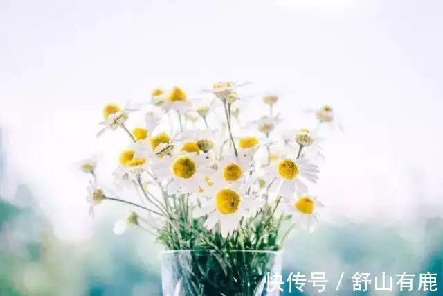 福运&“一念舍得,一生顺遂”:50岁后有福运的人,都舍得这4样东西