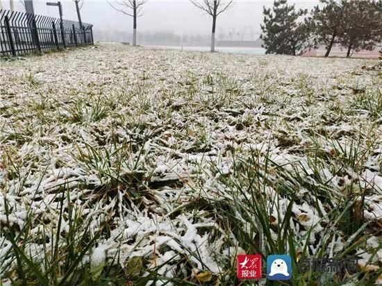 组图|组图｜淄博这场雪用实力说话 这些地方最美