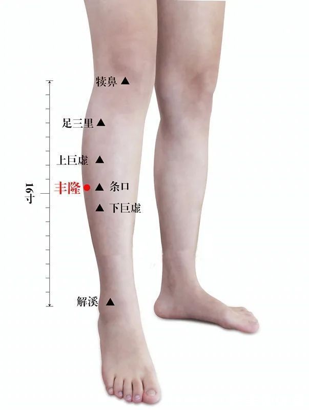 痰音|痰多百病生!中医3招,祛除痰湿,调和气血,让你年轻态、少生病